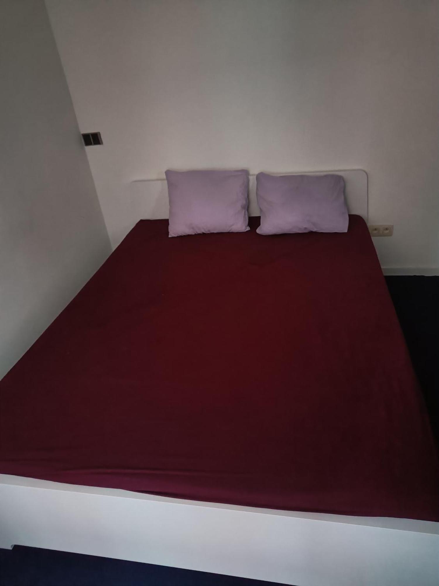 Viktoria Hostel アントウェルペン エクステリア 写真