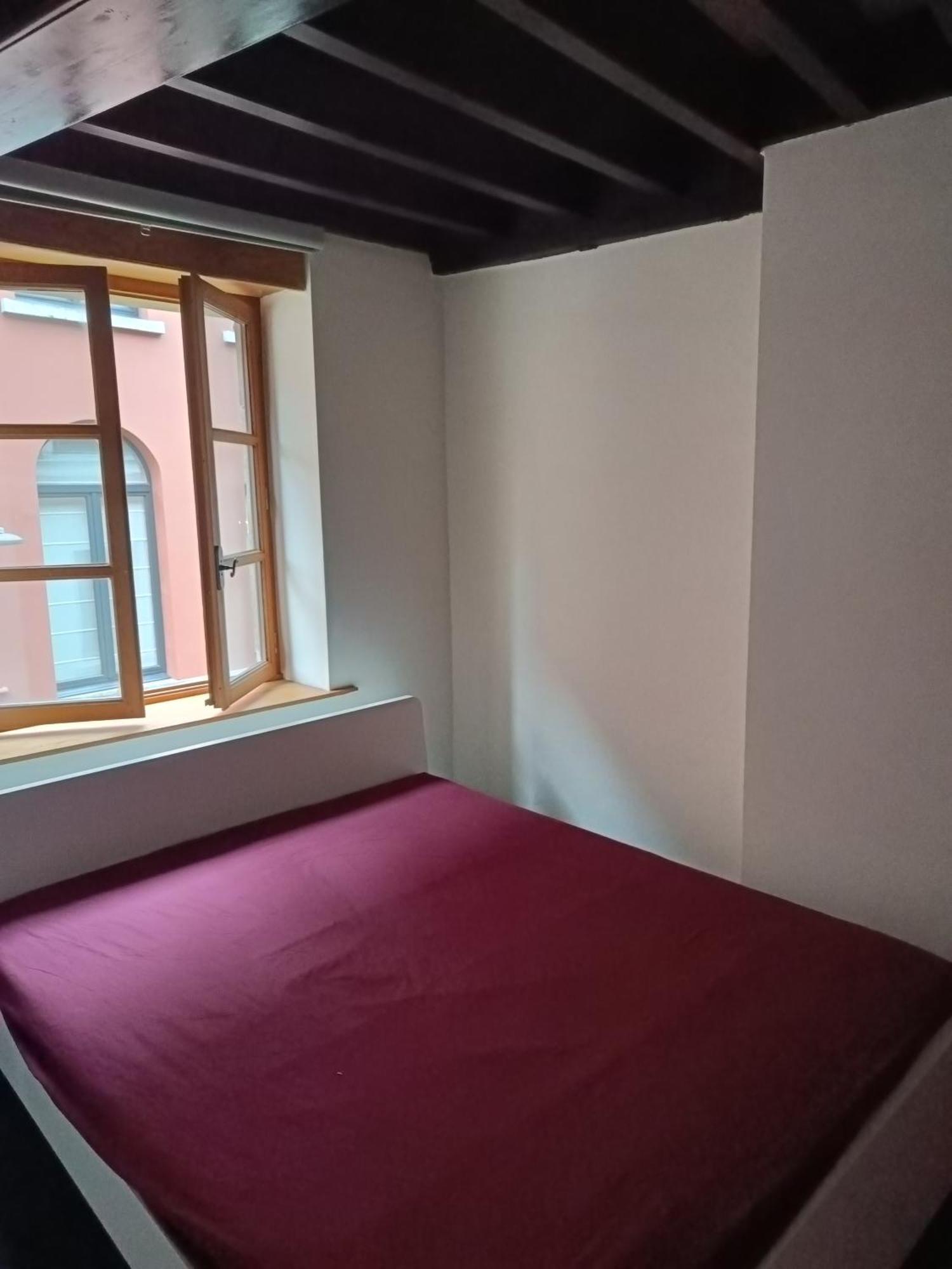 Viktoria Hostel アントウェルペン エクステリア 写真